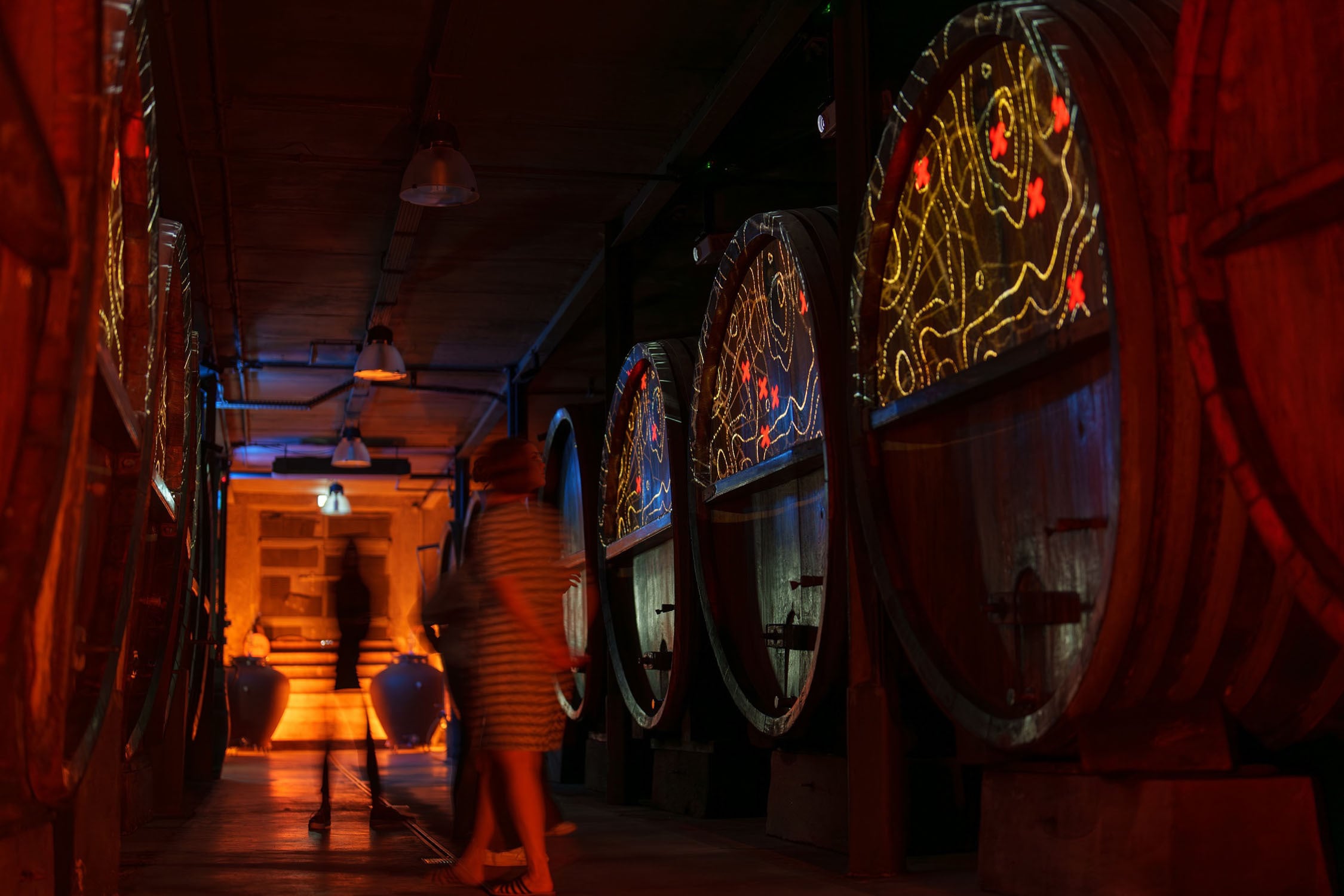 Dégustation de 5 vins et visite de cave immersive 180°